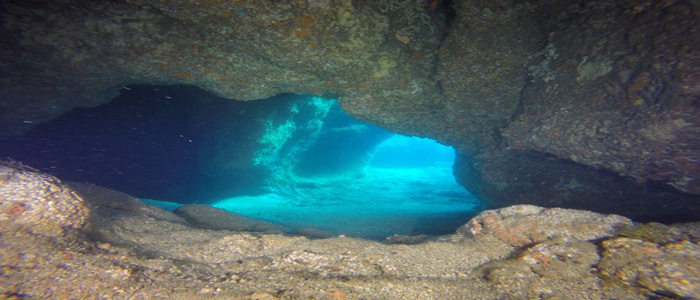 Snorkeling ad Ischia